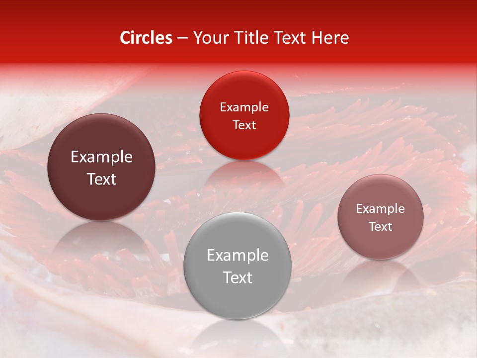 Ling Brown River PowerPoint Template