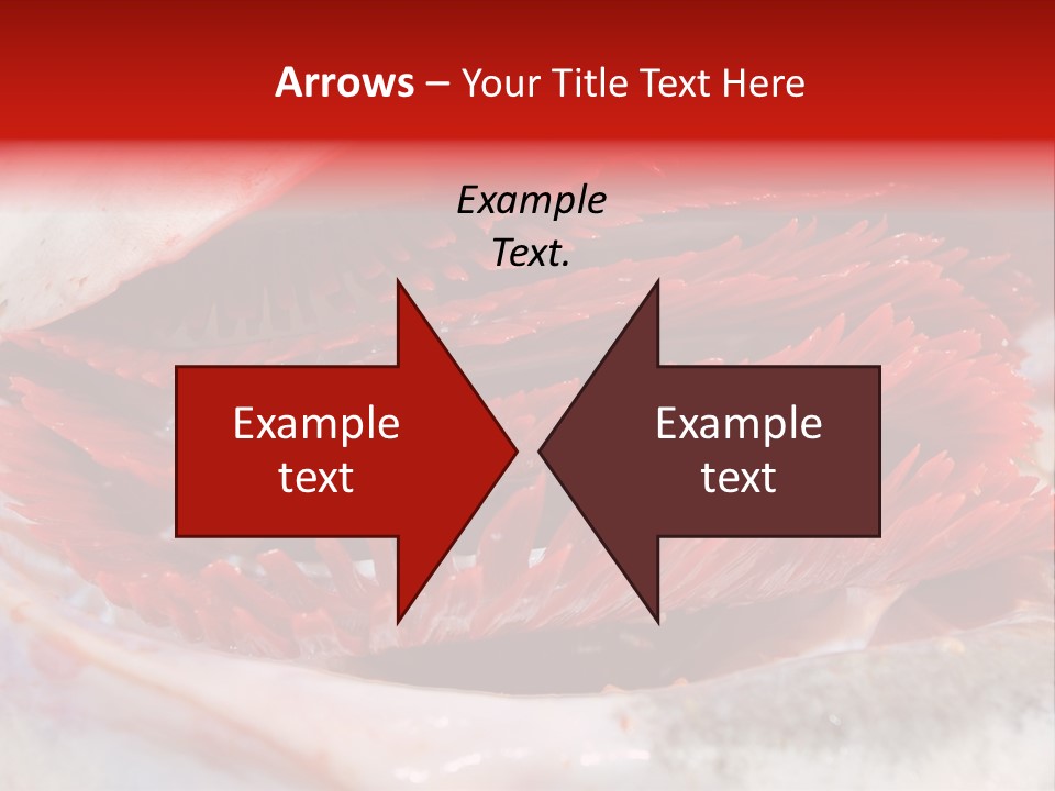 Ling Brown River PowerPoint Template