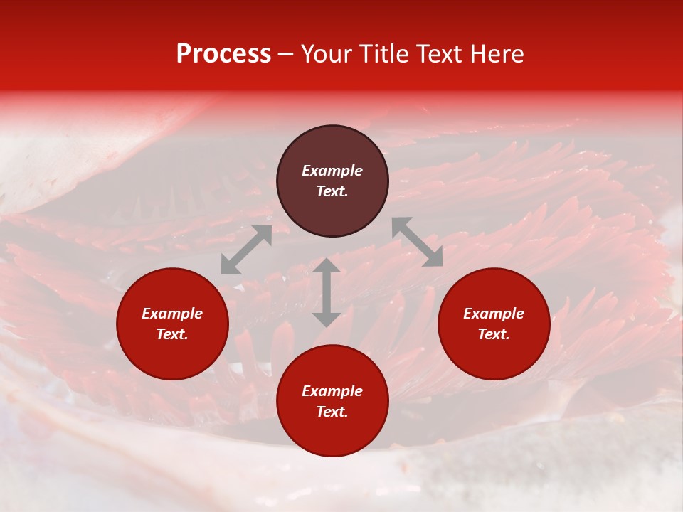 Ling Brown River PowerPoint Template