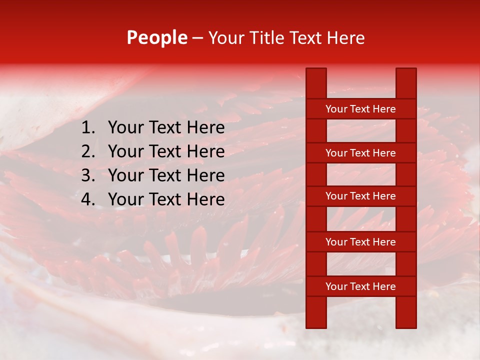 Ling Brown River PowerPoint Template