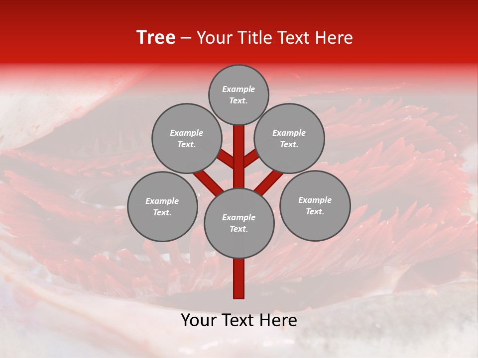 Ling Brown River PowerPoint Template