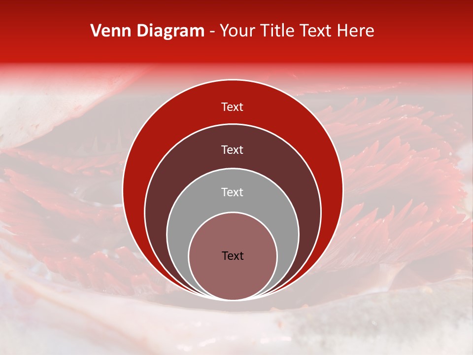 Ling Brown River PowerPoint Template