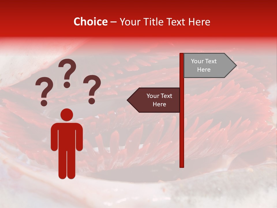 Ling Brown River PowerPoint Template