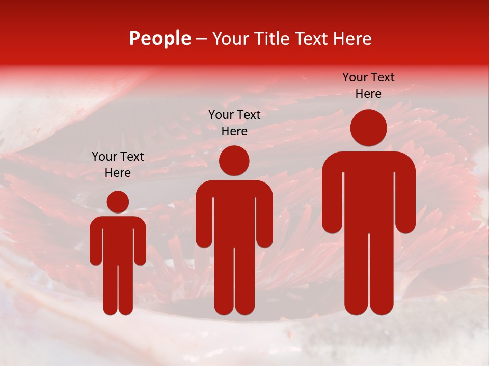 Ling Brown River PowerPoint Template