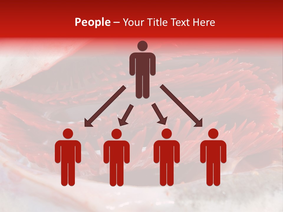 Ling Brown River PowerPoint Template