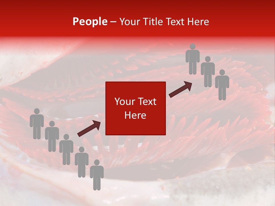 Ling Brown River PowerPoint Template