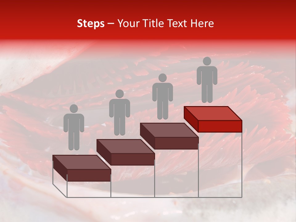 Ling Brown River PowerPoint Template