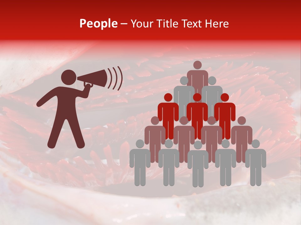 Ling Brown River PowerPoint Template