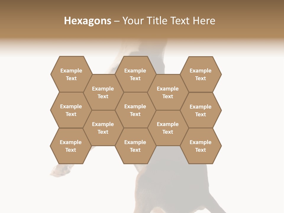 Finger Purebred Reflection PowerPoint Template