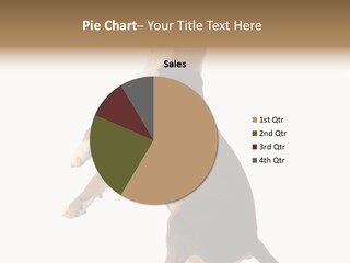 Finger Purebred Reflection PowerPoint Template