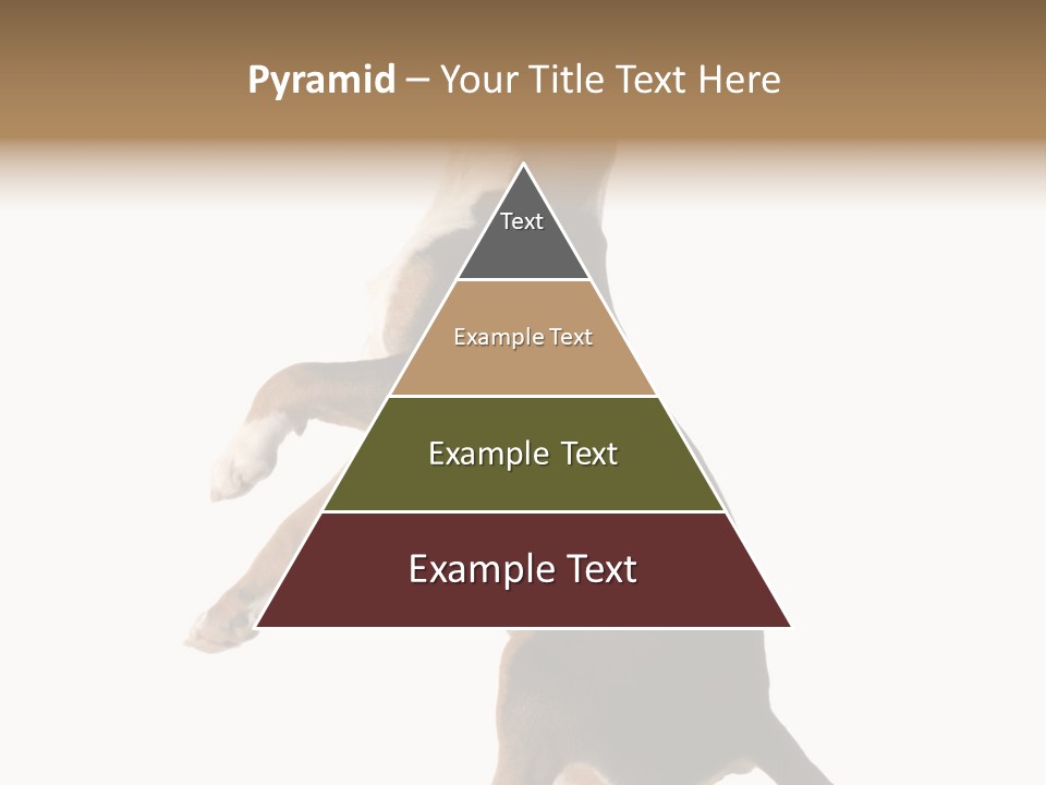 Finger Purebred Reflection PowerPoint Template