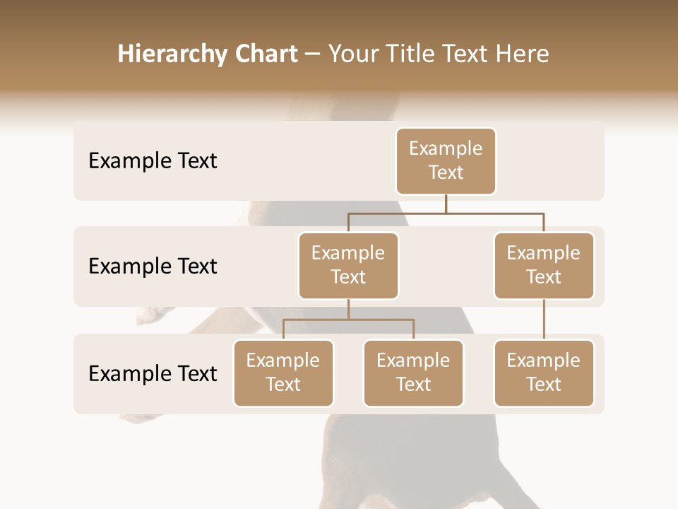Finger Purebred Reflection PowerPoint Template