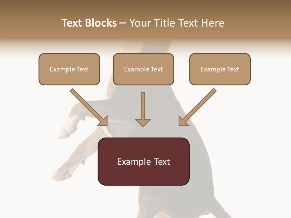 Finger Purebred Reflection PowerPoint Template