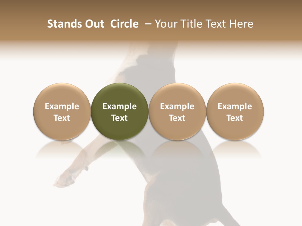 Finger Purebred Reflection PowerPoint Template