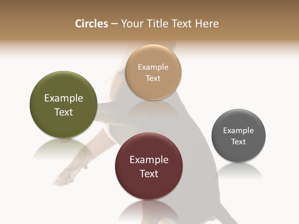 Finger Purebred Reflection PowerPoint Template