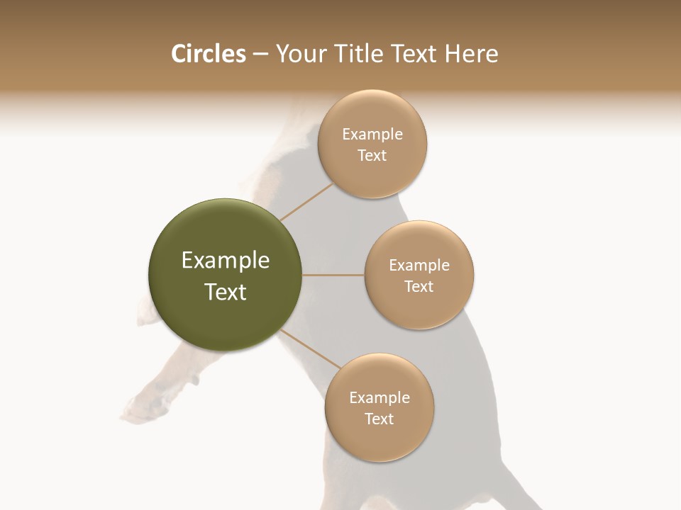 Finger Purebred Reflection PowerPoint Template