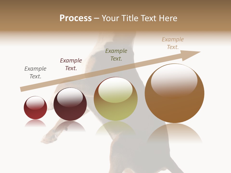 Finger Purebred Reflection PowerPoint Template