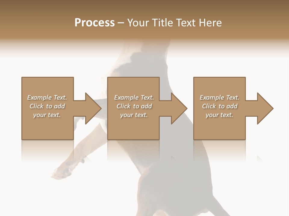 Finger Purebred Reflection PowerPoint Template