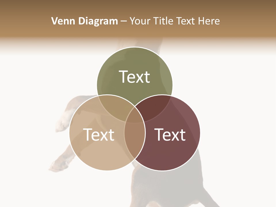 Finger Purebred Reflection PowerPoint Template