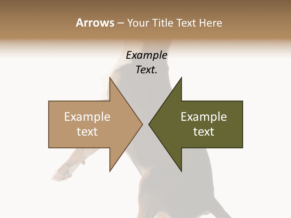 Finger Purebred Reflection PowerPoint Template