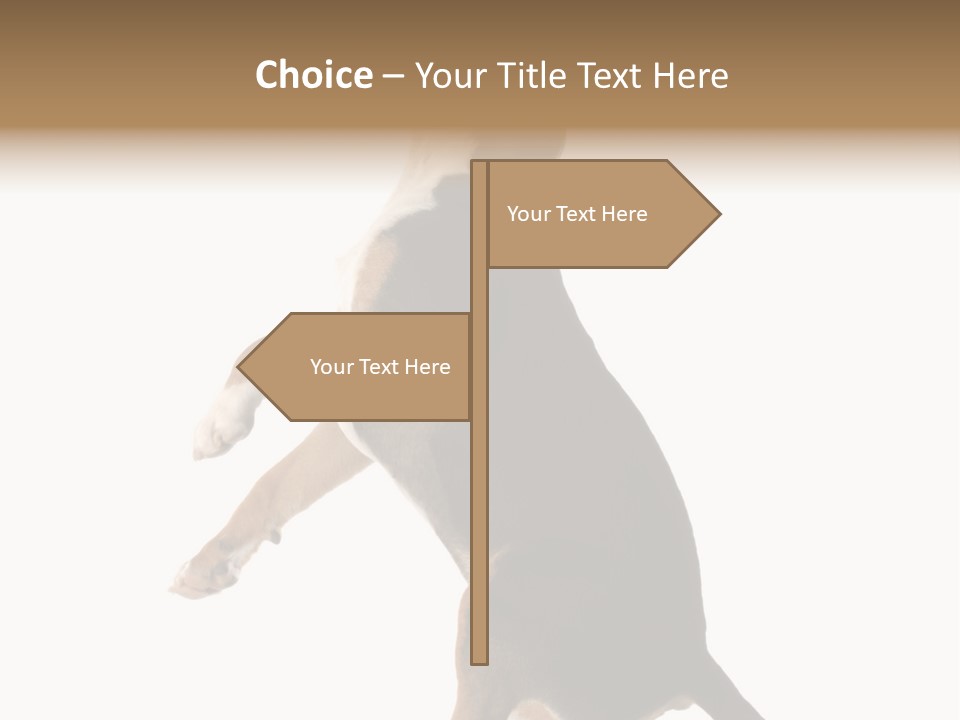 Finger Purebred Reflection PowerPoint Template