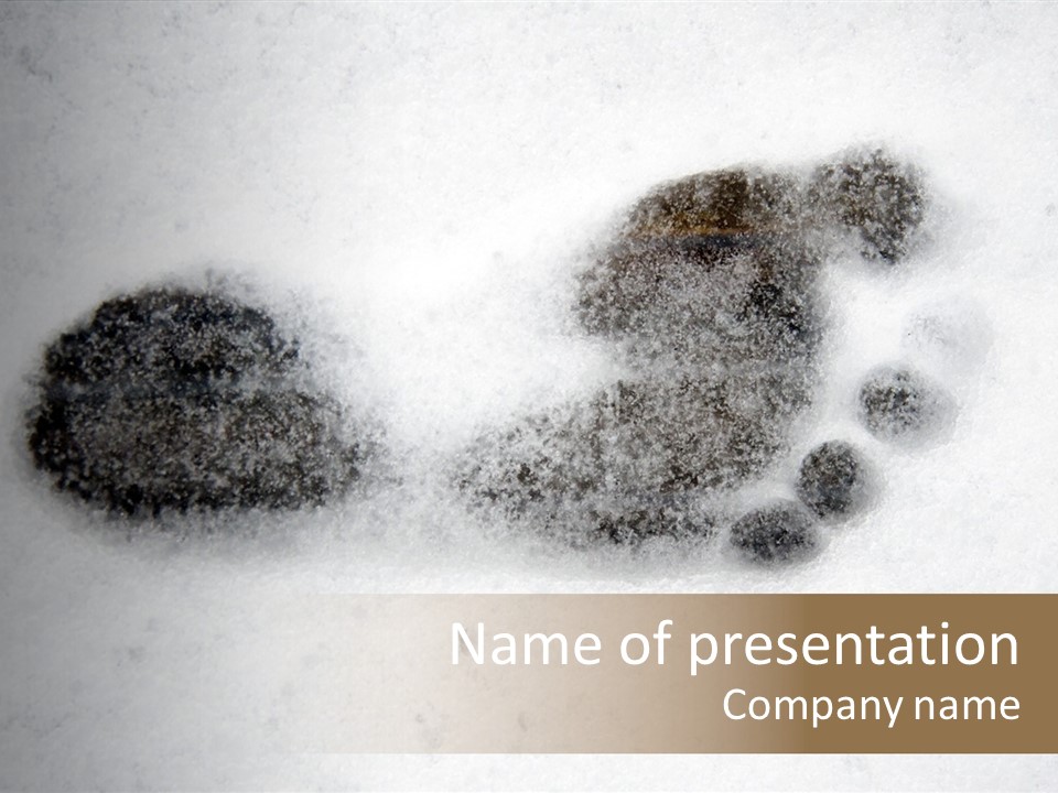 Human Track Nordic PowerPoint Template