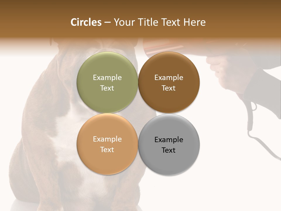 Blow Expression Comb PowerPoint Template