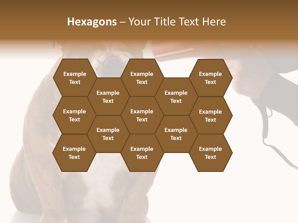 Blow Expression Comb PowerPoint Template