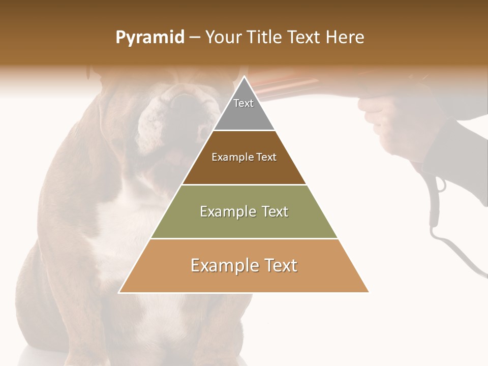 Blow Expression Comb PowerPoint Template