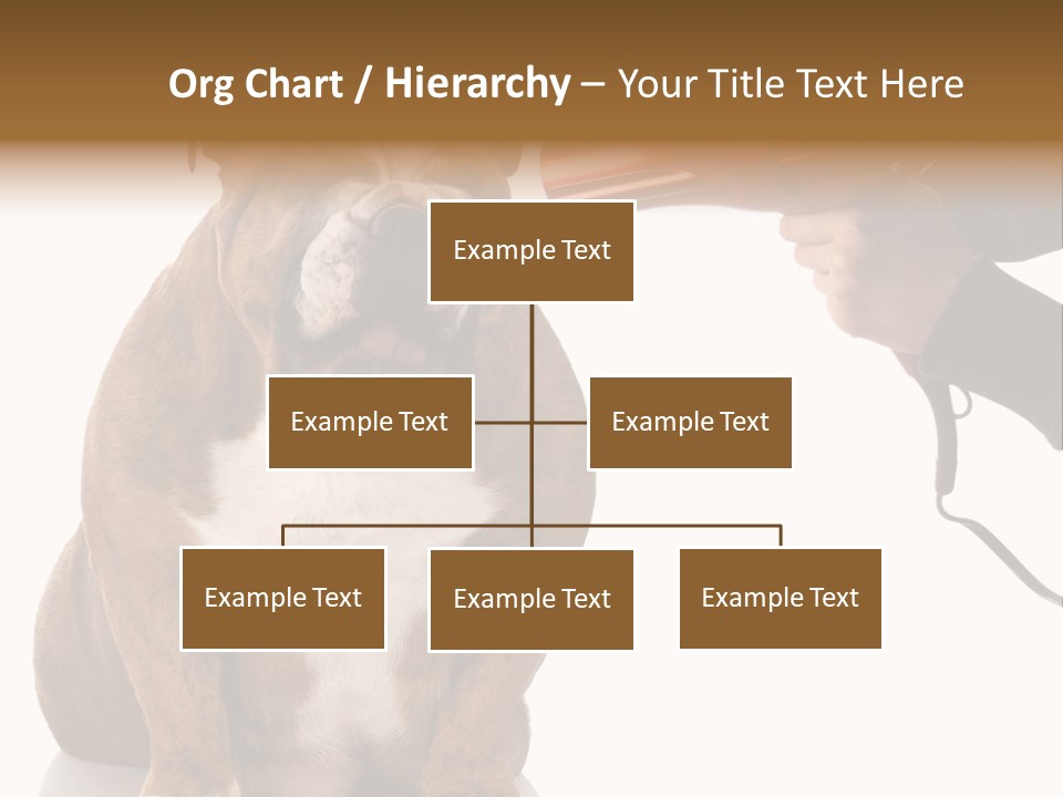 Blow Expression Comb PowerPoint Template