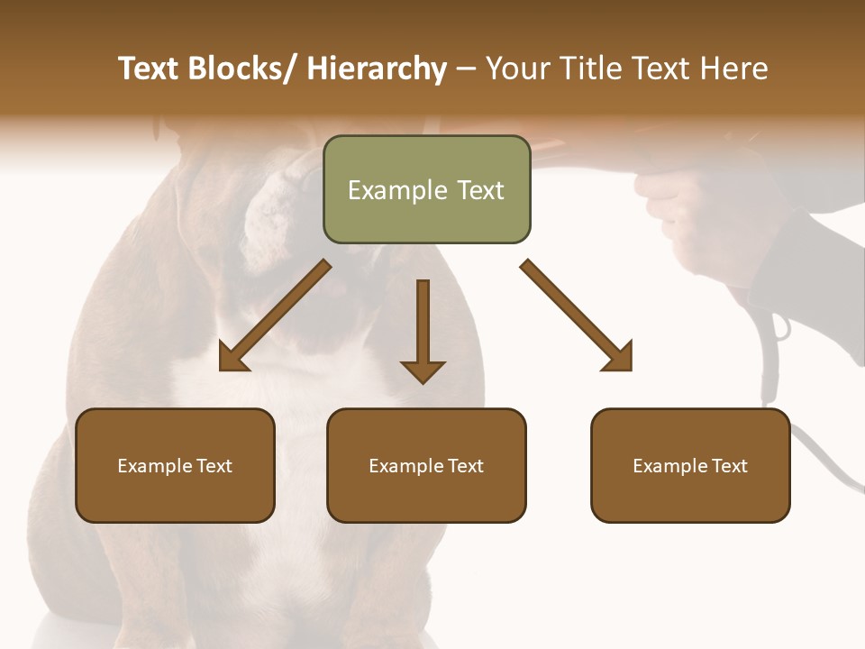 Blow Expression Comb PowerPoint Template