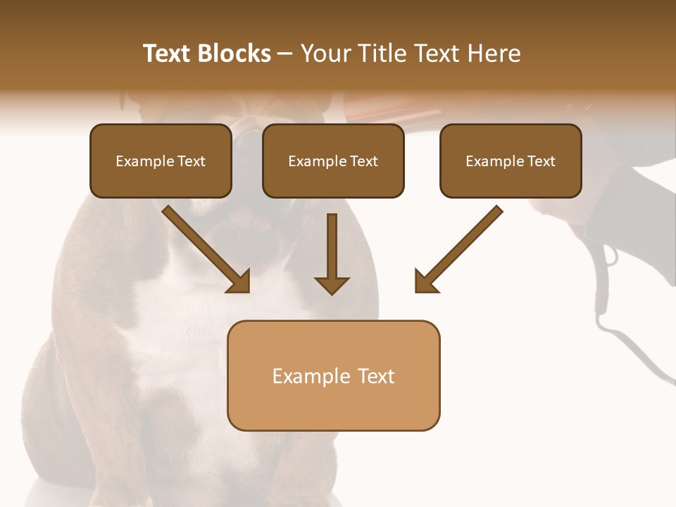 Blow Expression Comb PowerPoint Template