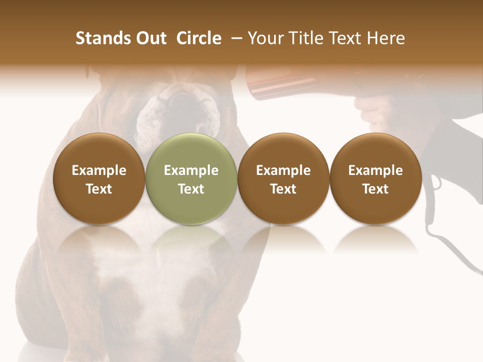 Blow Expression Comb PowerPoint Template