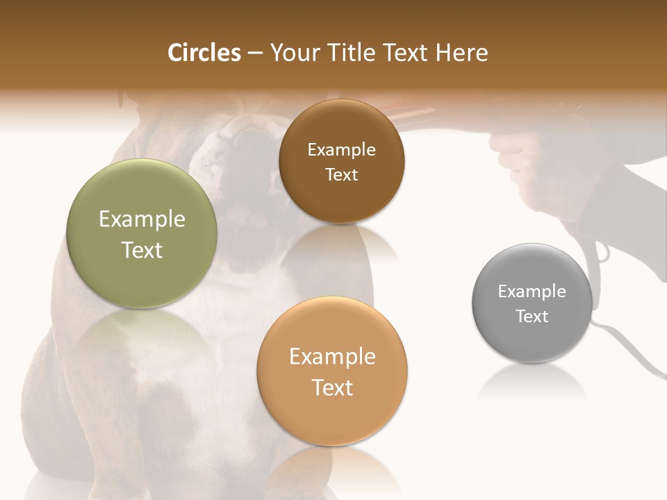 Blow Expression Comb PowerPoint Template