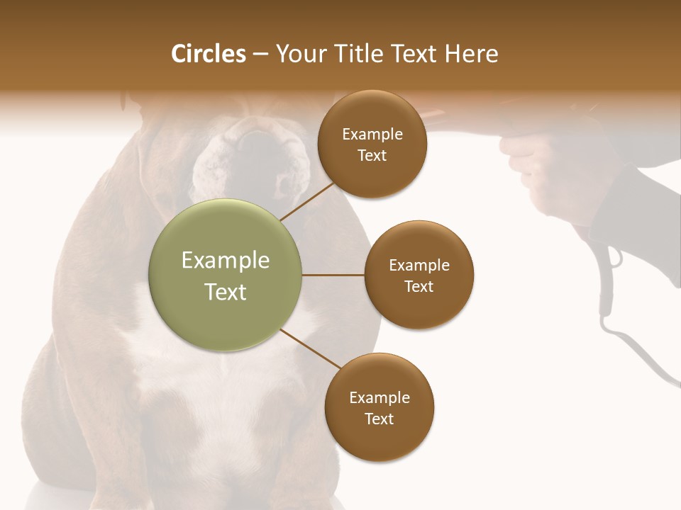 Blow Expression Comb PowerPoint Template