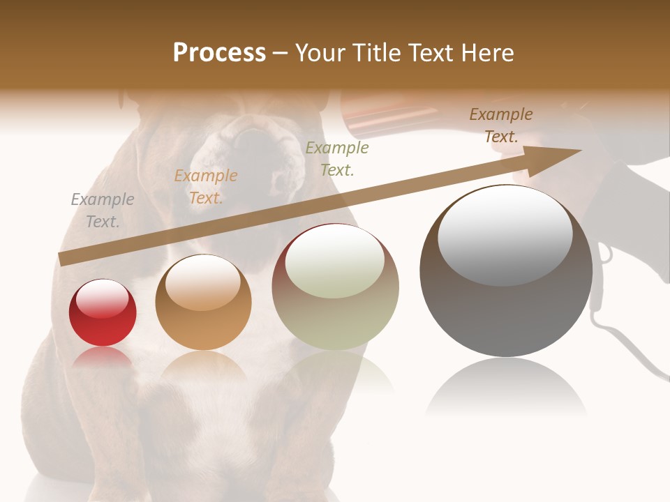 Blow Expression Comb PowerPoint Template