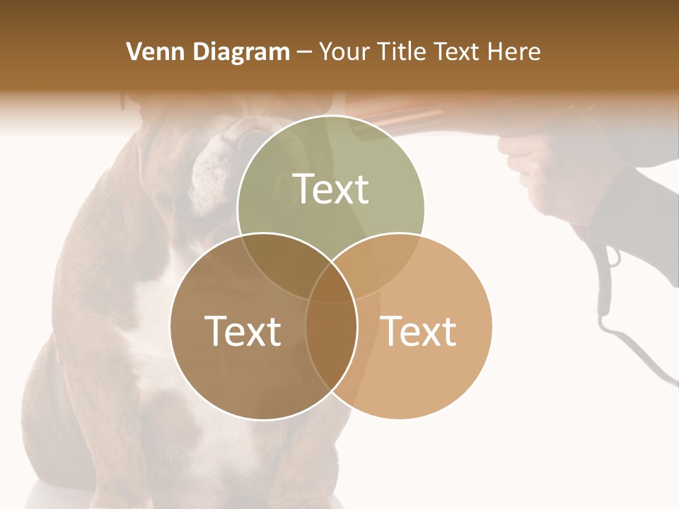 Blow Expression Comb PowerPoint Template