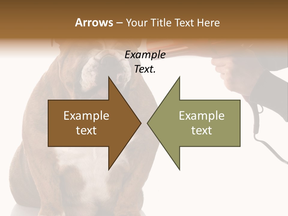 Blow Expression Comb PowerPoint Template