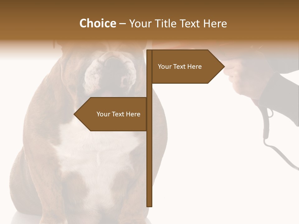 Blow Expression Comb PowerPoint Template
