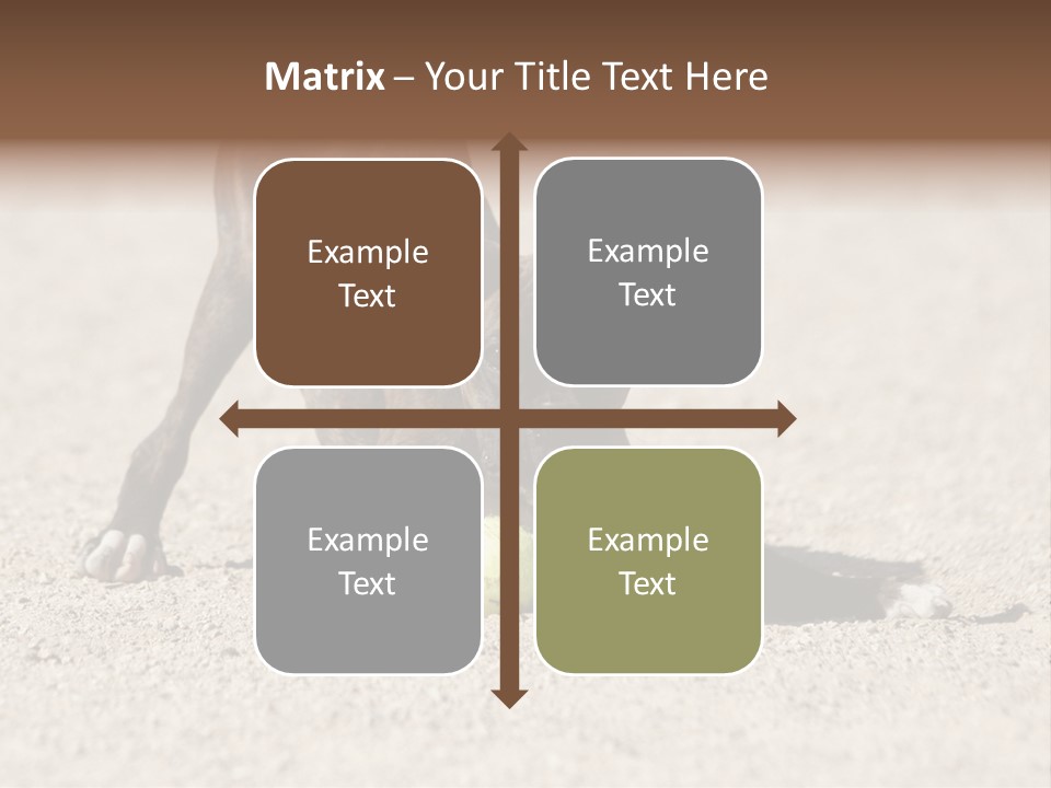 A Dog Playing With A Tennis Ball In The Sand PowerPoint Template