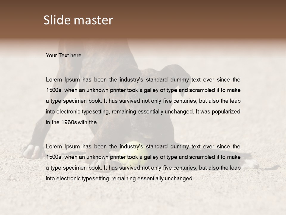 A Dog Playing With A Tennis Ball In The Sand PowerPoint Template