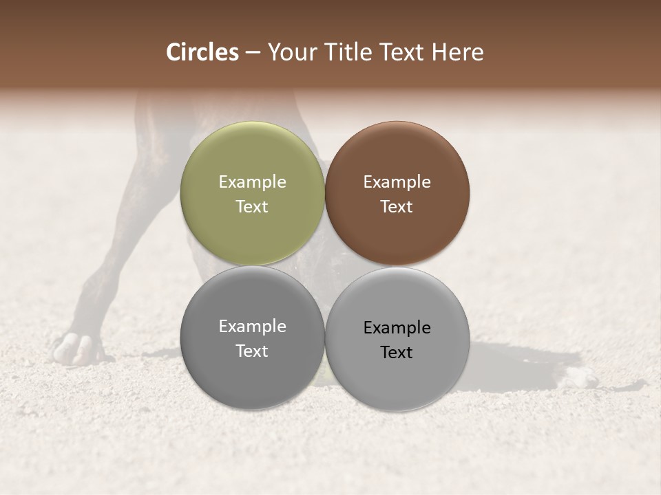 A Dog Playing With A Tennis Ball In The Sand PowerPoint Template