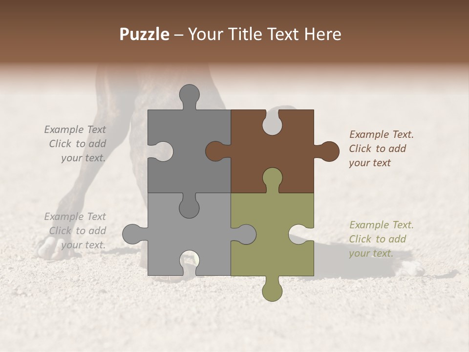 A Dog Playing With A Tennis Ball In The Sand PowerPoint Template