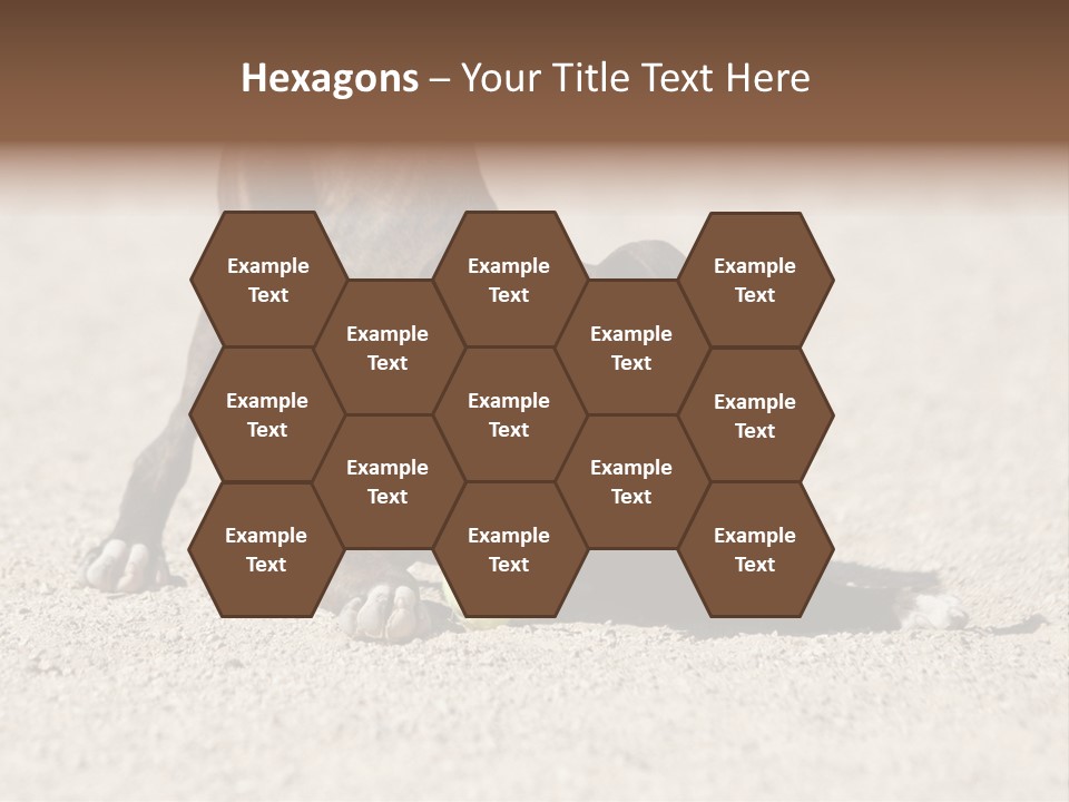 A Dog Playing With A Tennis Ball In The Sand PowerPoint Template