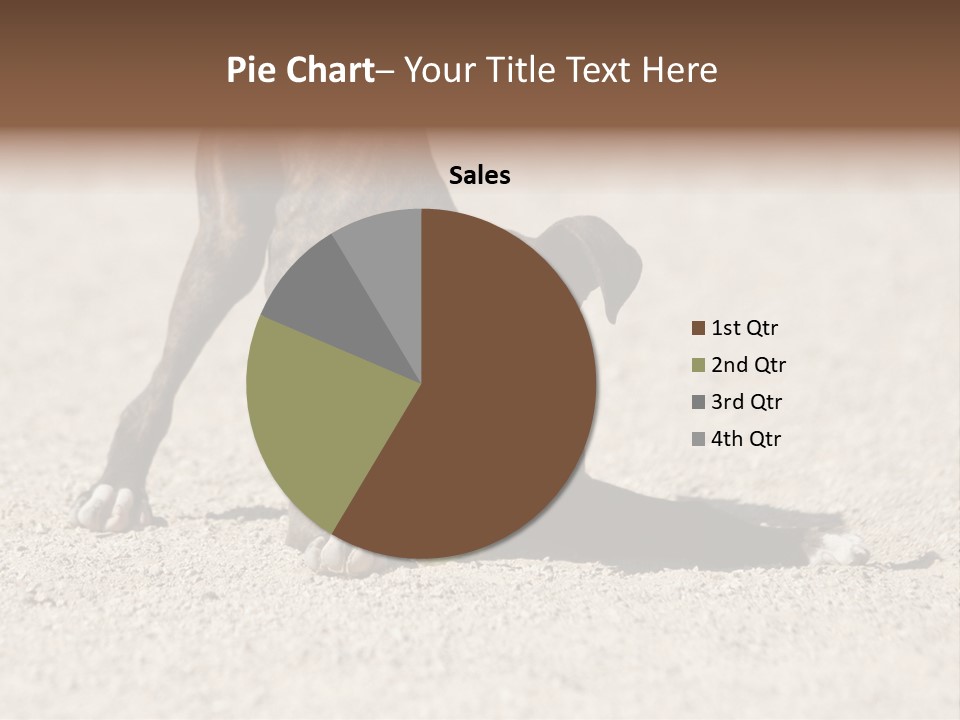 A Dog Playing With A Tennis Ball In The Sand PowerPoint Template