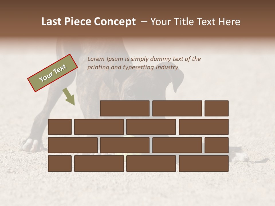 A Dog Playing With A Tennis Ball In The Sand PowerPoint Template