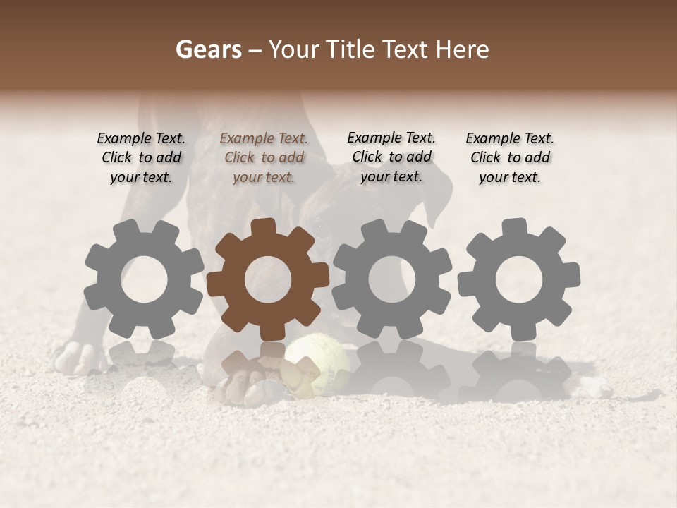 A Dog Playing With A Tennis Ball In The Sand PowerPoint Template