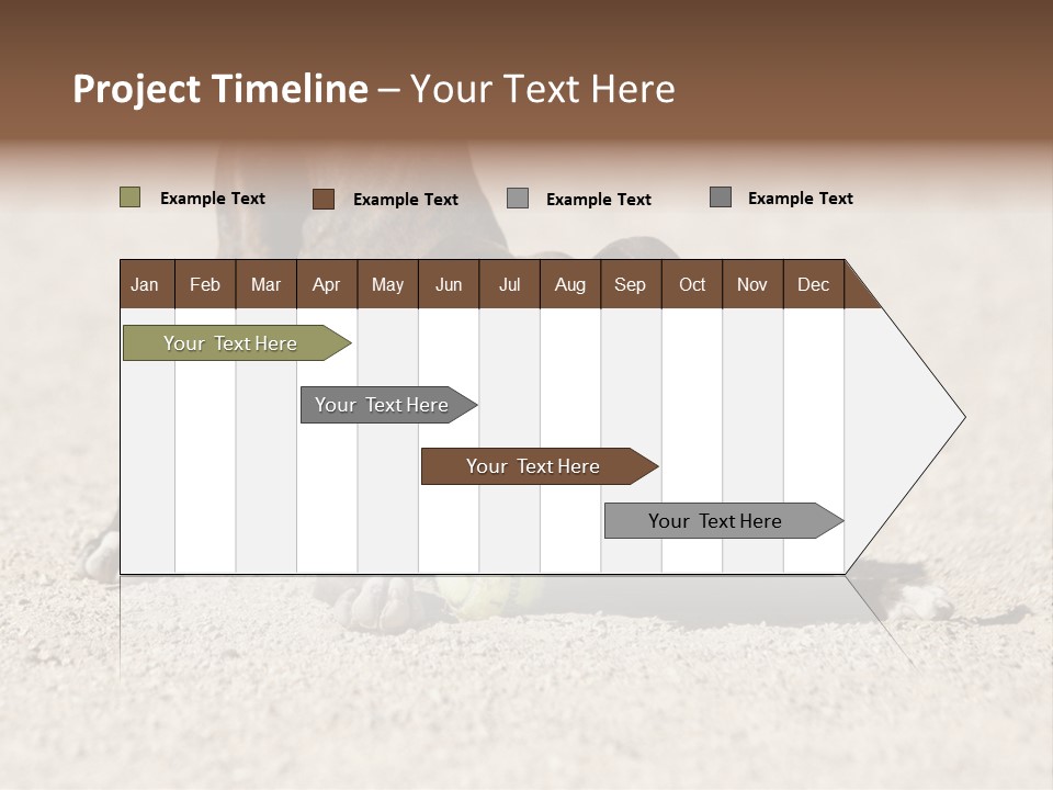 A Dog Playing With A Tennis Ball In The Sand PowerPoint Template