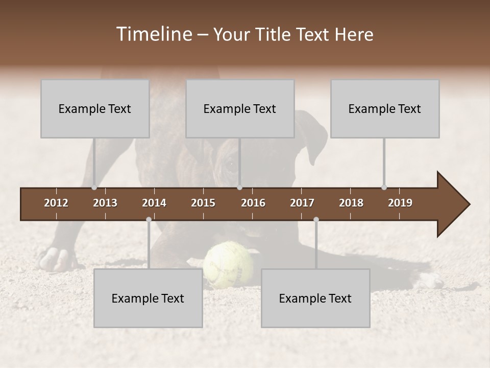 A Dog Playing With A Tennis Ball In The Sand PowerPoint Template