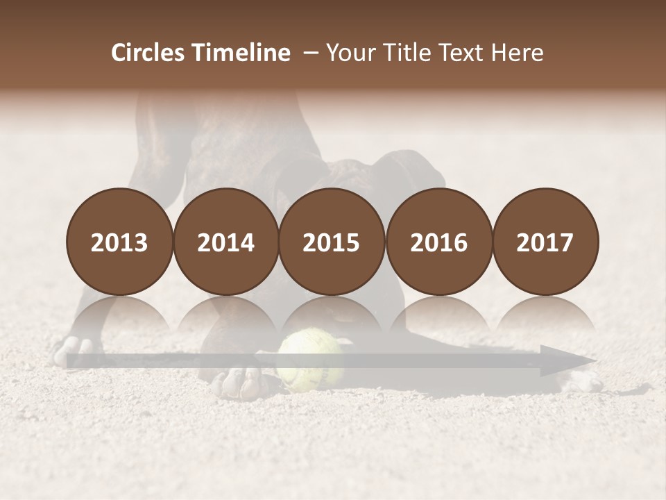 A Dog Playing With A Tennis Ball In The Sand PowerPoint Template
